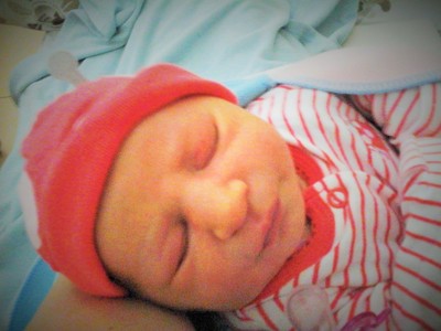 ההריון והלידה של איילת