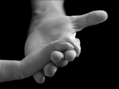 כרטיס ביקור של מיילדת: טל קרמר