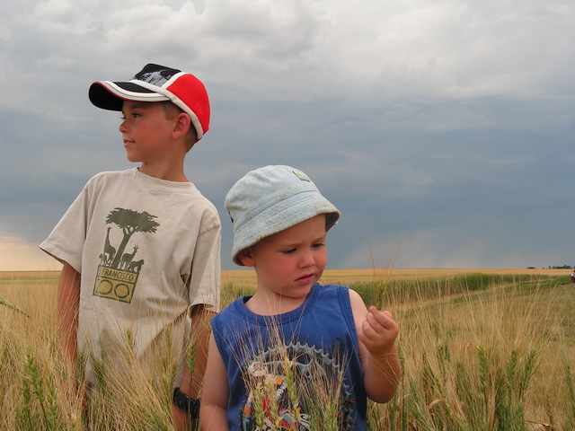 ההיבטים הפסיכולוגיים של הפרעות גדילה